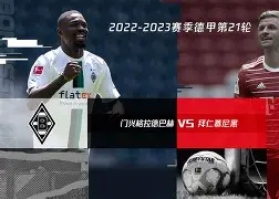 开云中国-拜仁慕尼黑联赛